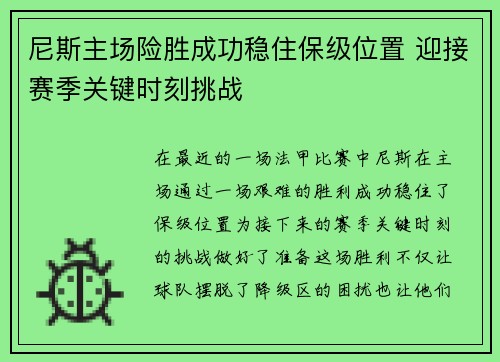 尼斯主场险胜成功稳住保级位置 迎接赛季关键时刻挑战