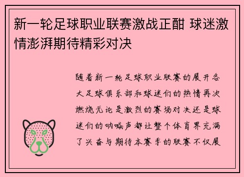 新一轮足球职业联赛激战正酣 球迷激情澎湃期待精彩对决